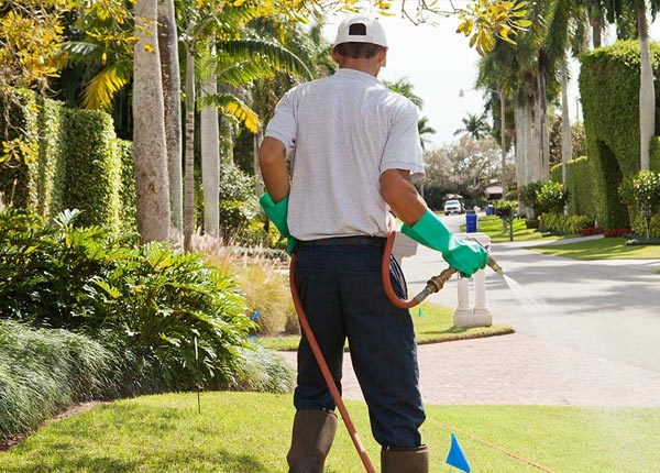 About Inman NE Pest Control